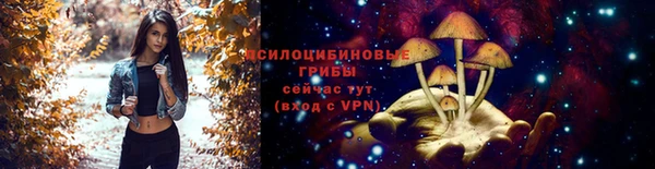 дживик Богородицк