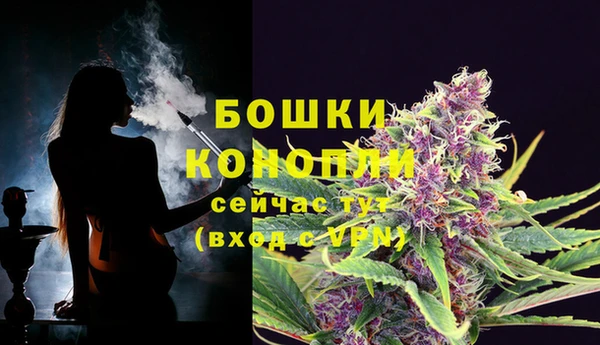 дживик Богородицк