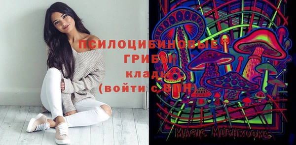 дживик Богородицк
