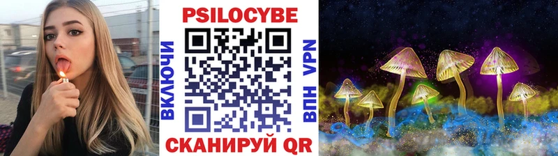 магазин    Котельниково  Галлюциногенные грибы Psilocybine cubensis 